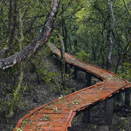 Coringa Wildlife Sanctuary